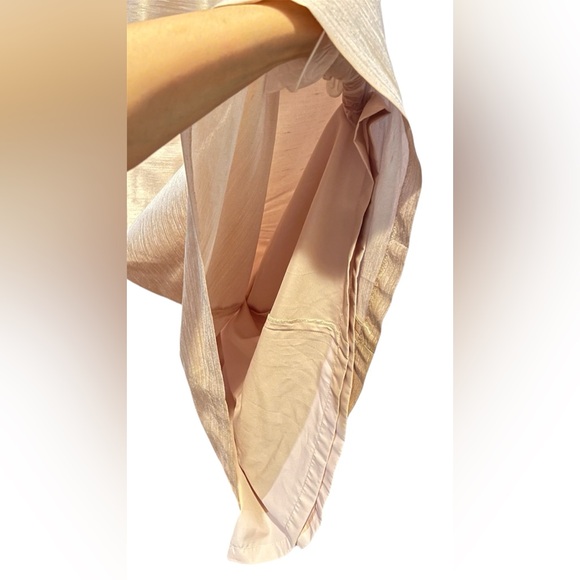 Alfred Sung Excellent US 6 Champagne Gown Formal Dress A-line Wedding Bridesmaid - Picture 11 of 12